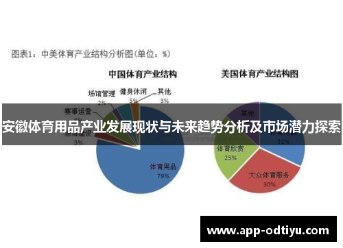 安徽体育用品产业发展现状与未来趋势分析及市场潜力探索