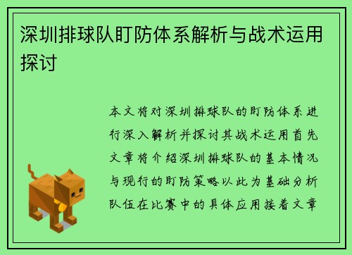 深圳排球队盯防体系解析与战术运用探讨