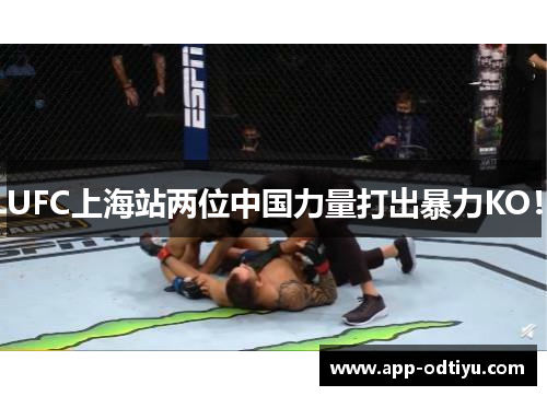 UFC上海站两位中国力量打出暴力KO！